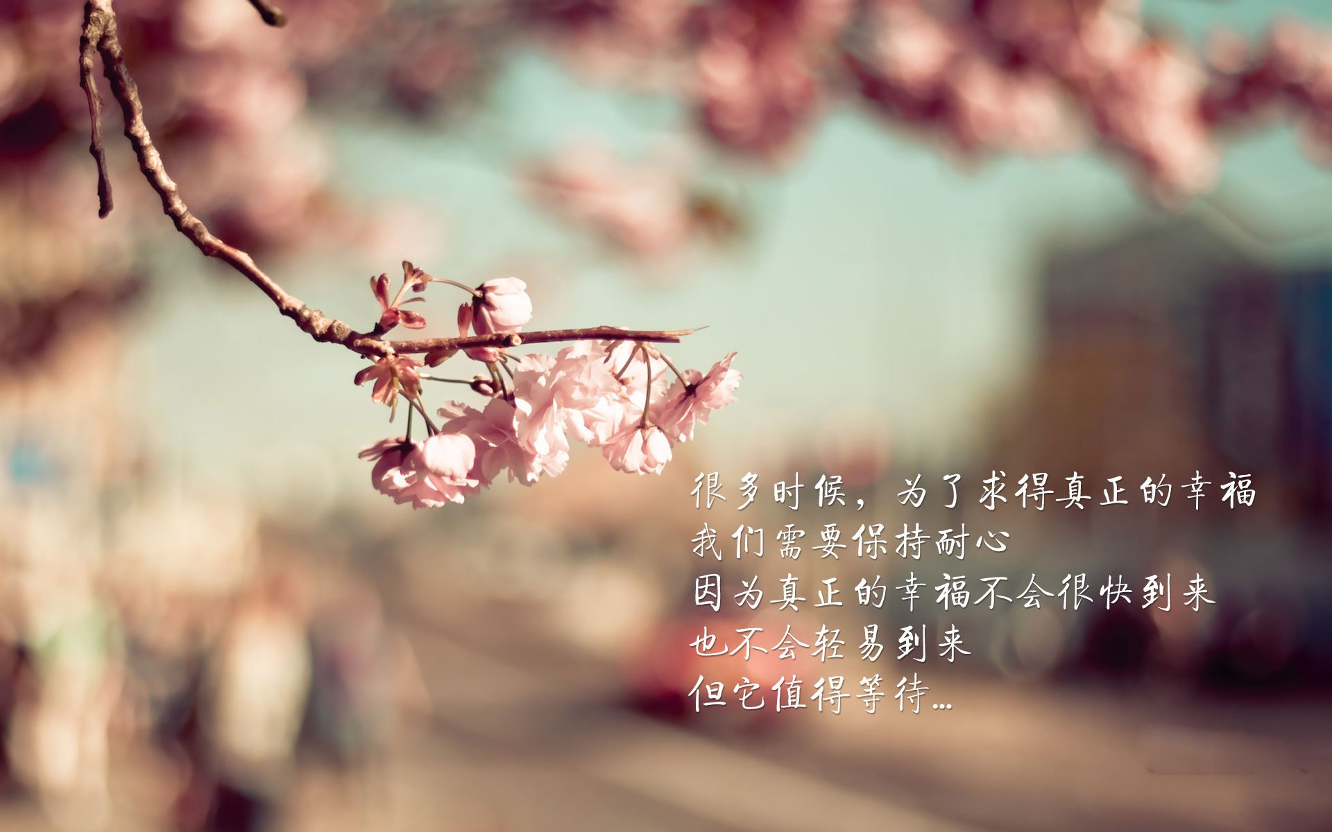 FB体育官方-《粉丝狂欢嘉年华：线下活动让电竞更温暖》，粉丝线上活动有哪些