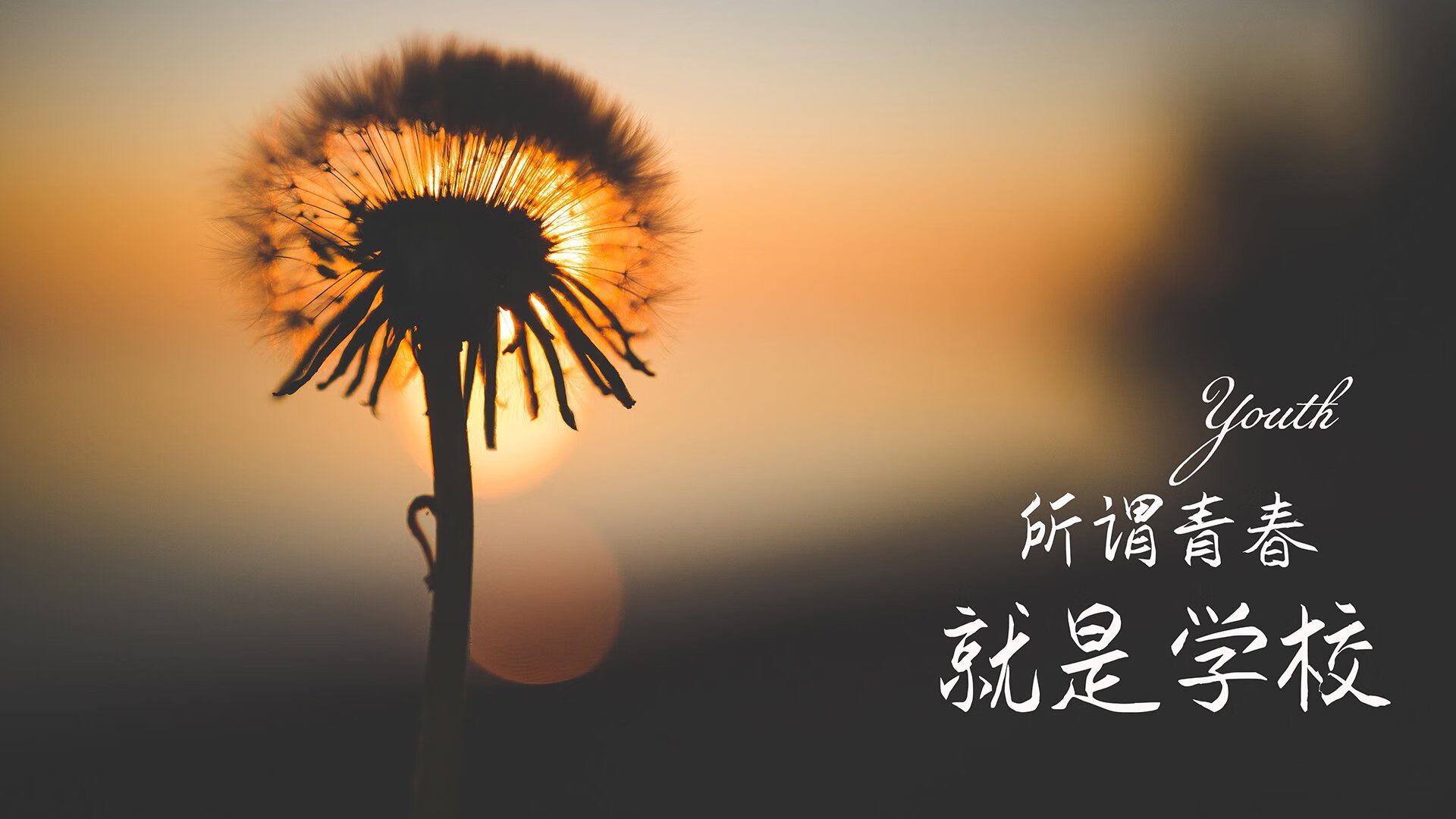 国外先进篮球训练理念引入中国，提升青少年训练水平，国外篮球研究现状分析