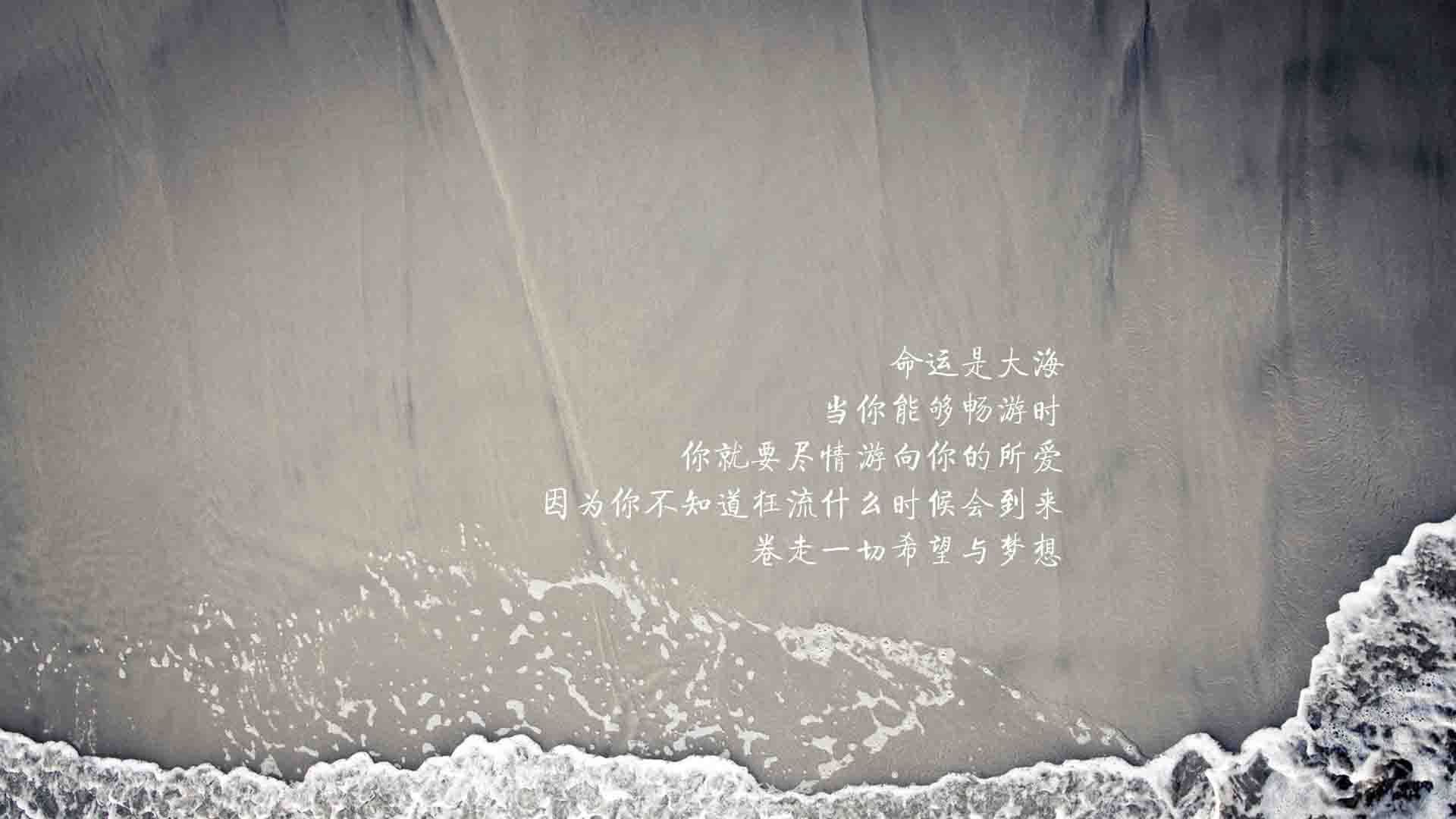 激烈对抗：最后一刻王强三分绝杀，北京险胜上海！，北京王强个人简历资料