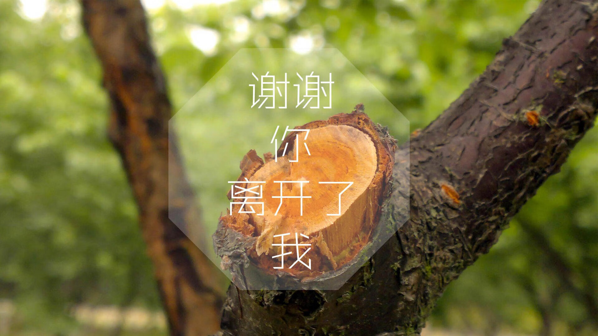FB体育官方-电竞赛事直播观看人数破纪录，行业迎来爆发期，电竞赛事看点