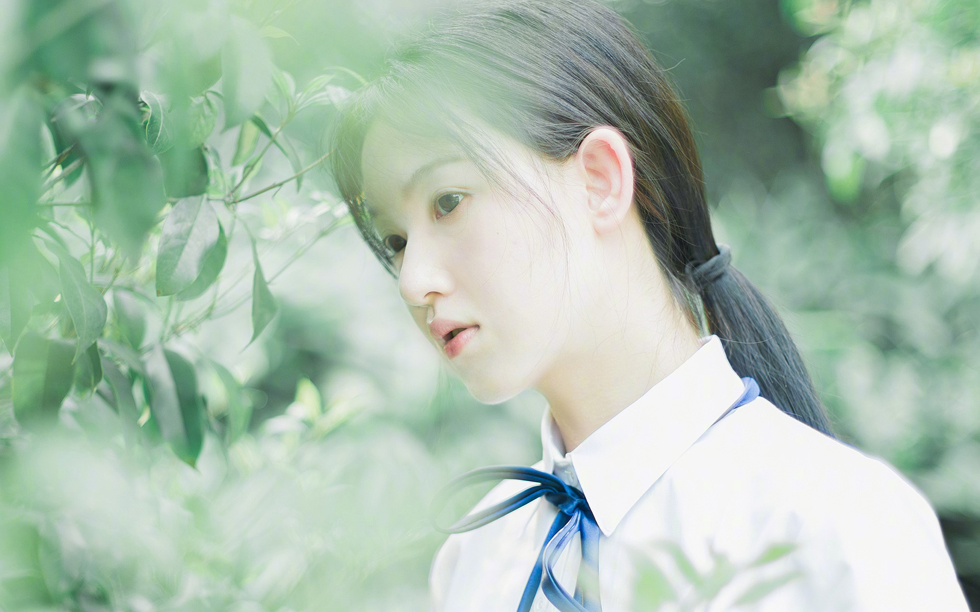公牛球迷期待球队在休赛期进行积极操作，公牛队消息