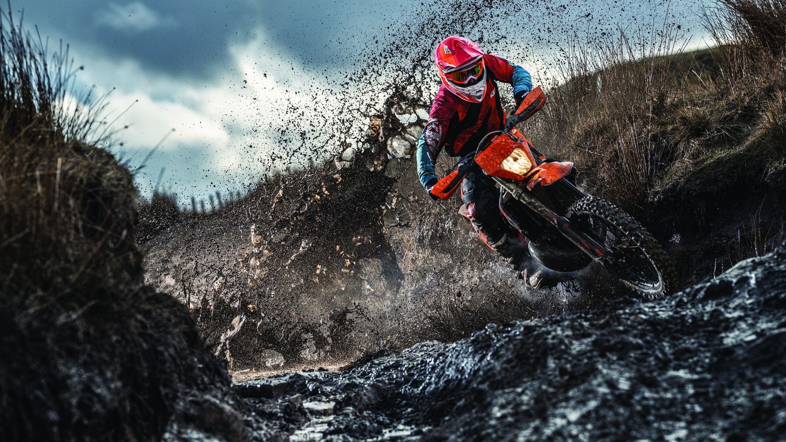 女足世界杯志愿者故事分享,女足世界杯受追捧