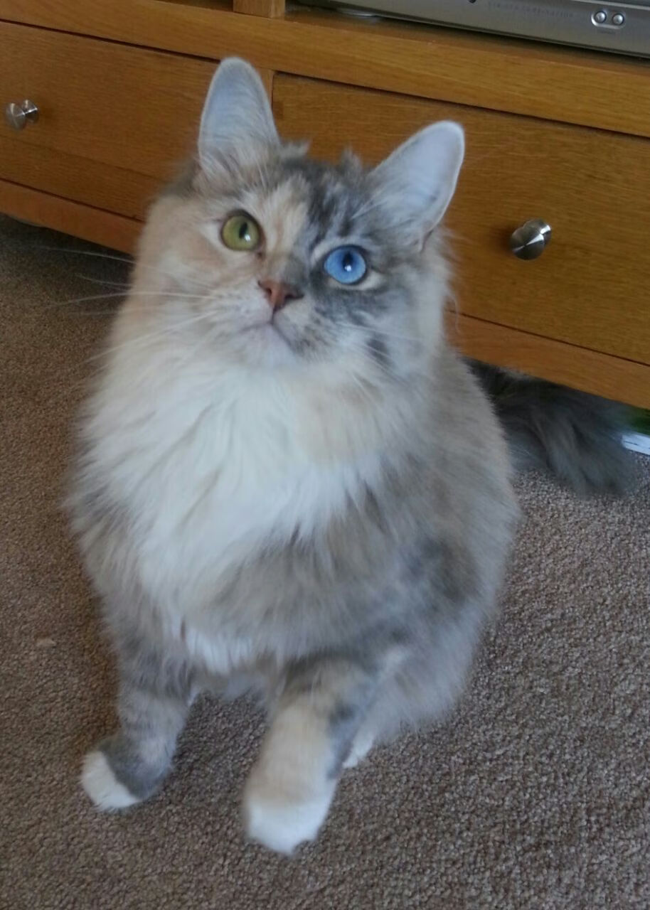 fb体育官网首页-意大利马术协会推出马术运动员职业发展规划，促进人才培养。，意大利马术服装品牌