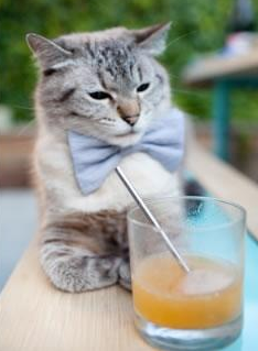 拜仁慕尼黑客场1-1战平弗赖堡,遗憾错失胜利,拜仁慕尼黑对阵弗赖堡