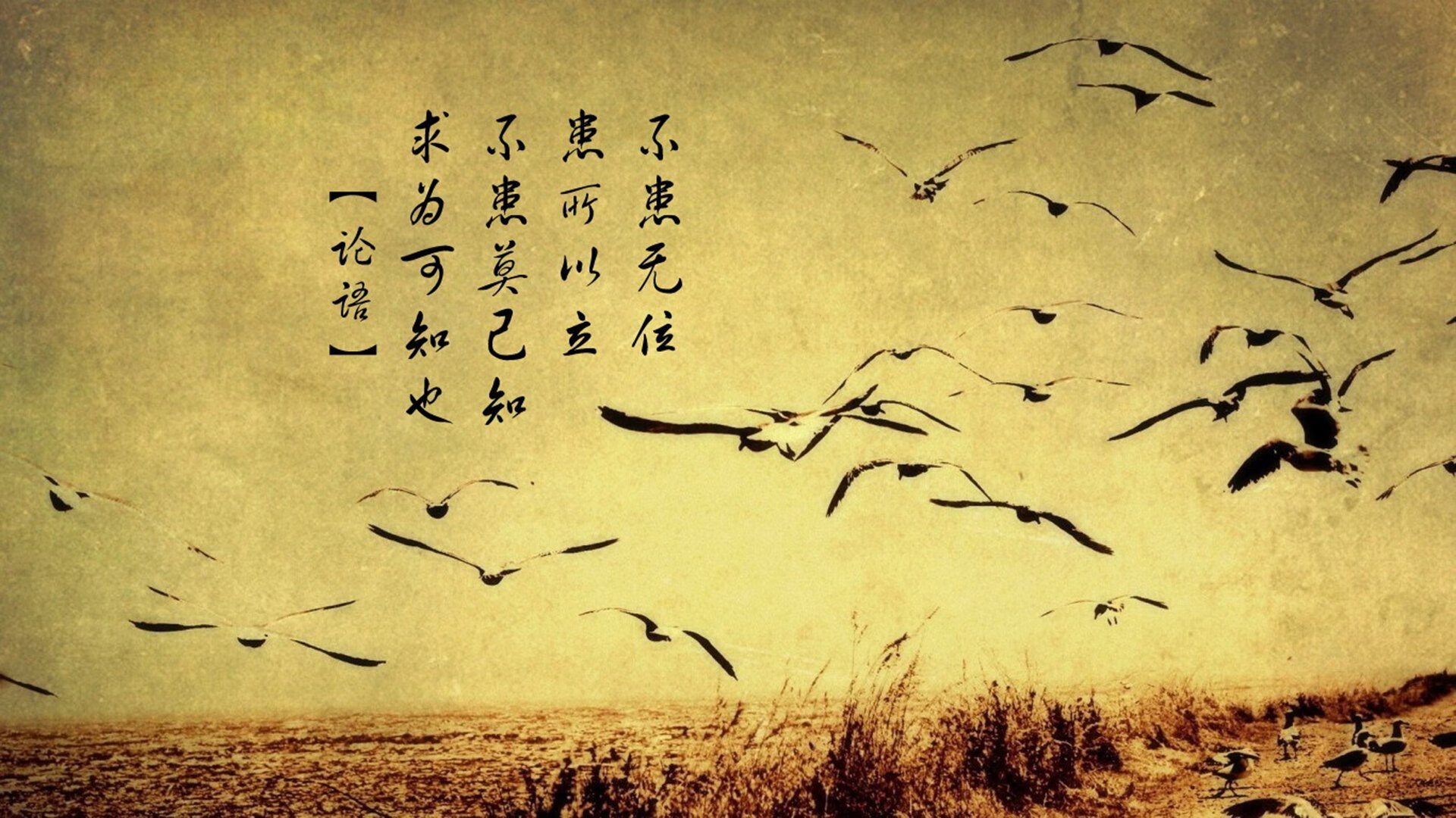 国足替补球员场均贡献度对比，国足替补门将