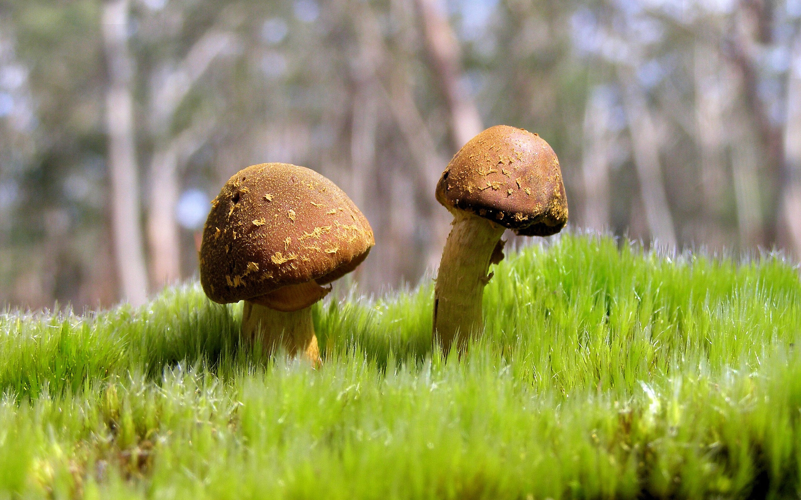 国足替补球员场均贡献度对比，国足替补门将