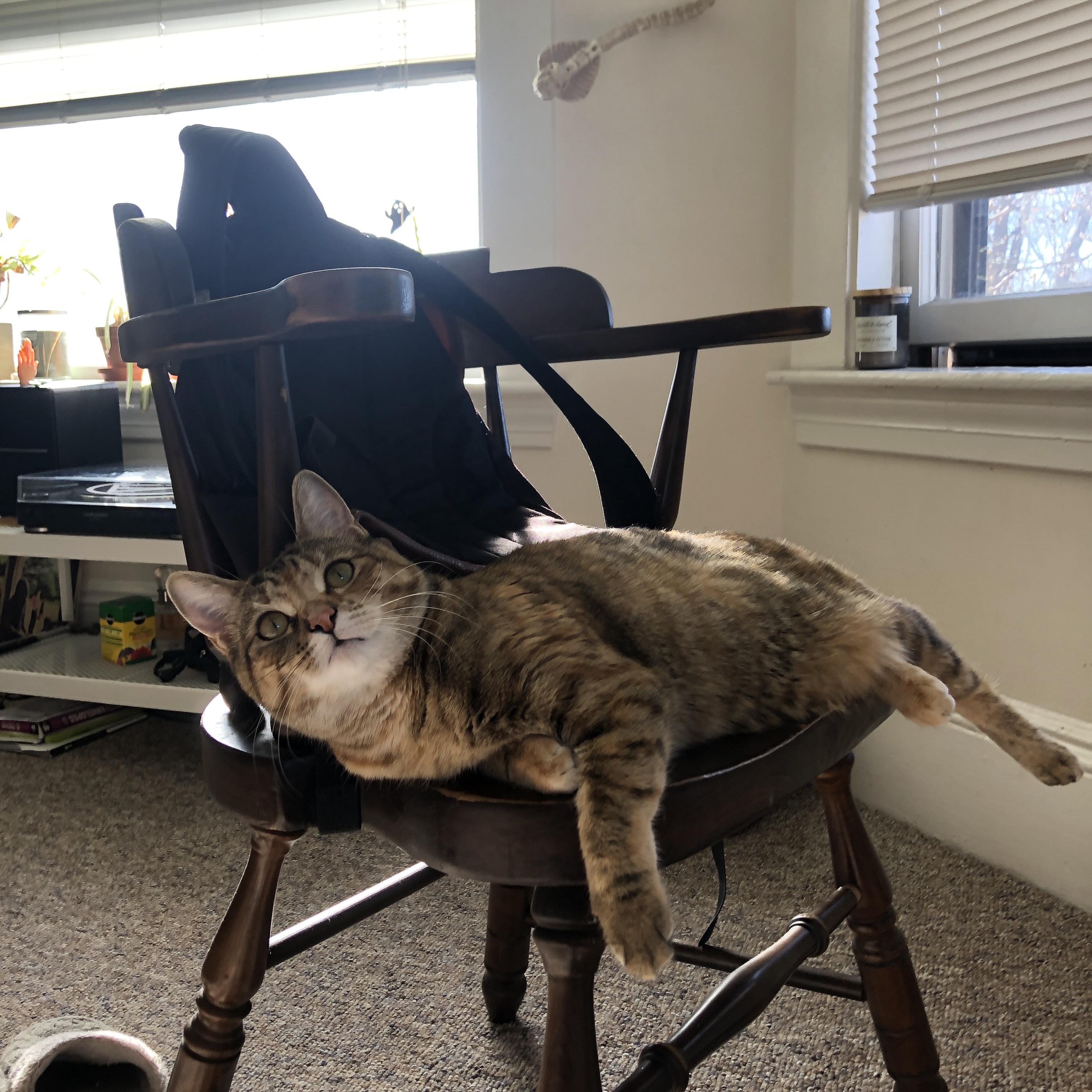 意甲裁判语义学习模型优化争议判罚语境理解的一致性研究，意甲裁判名单