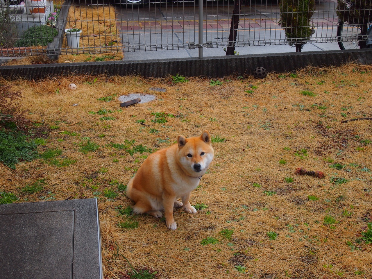 校园体育场馆智能调度方案研究，校园体育场馆智能调度方案研究内容