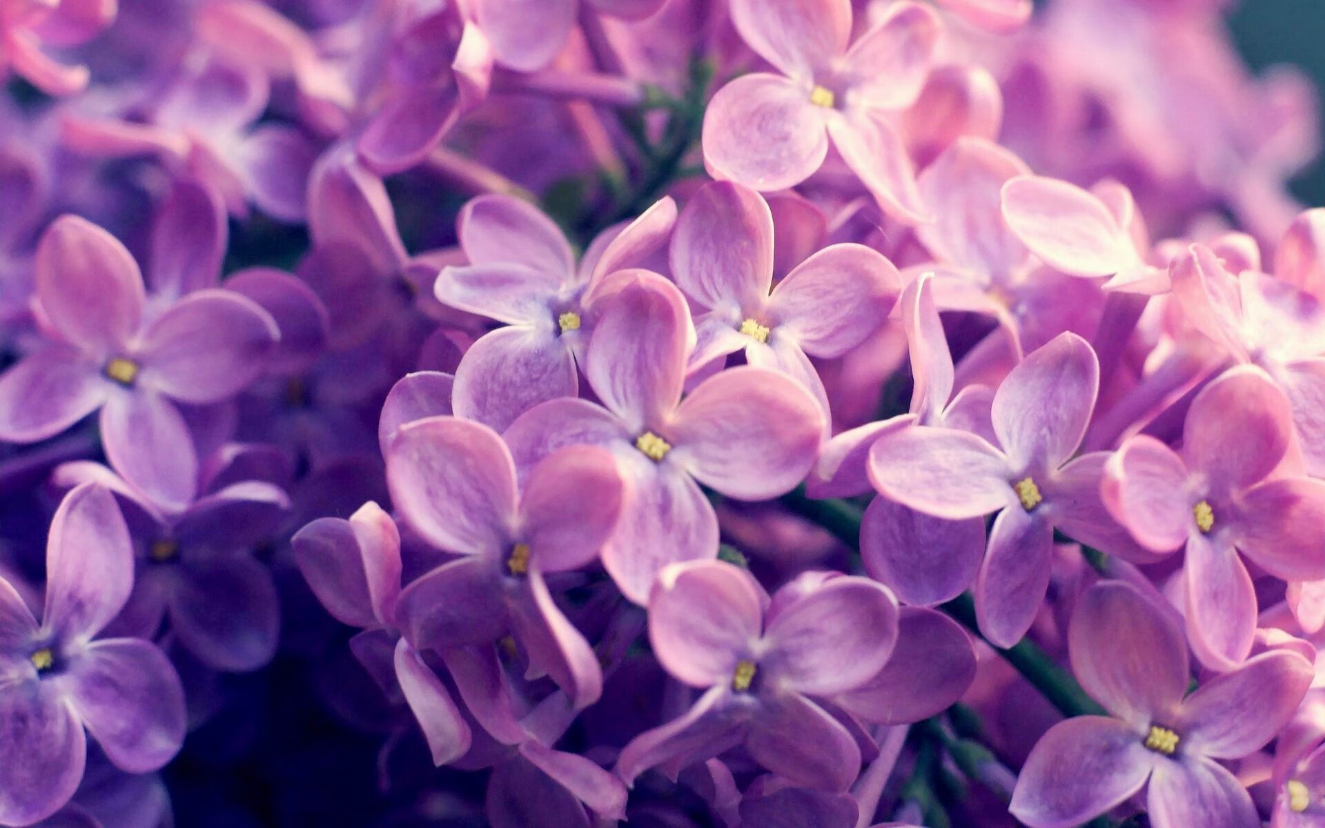 高校运动训练个性化指导方案，高校运动训练个性化指导方案范文