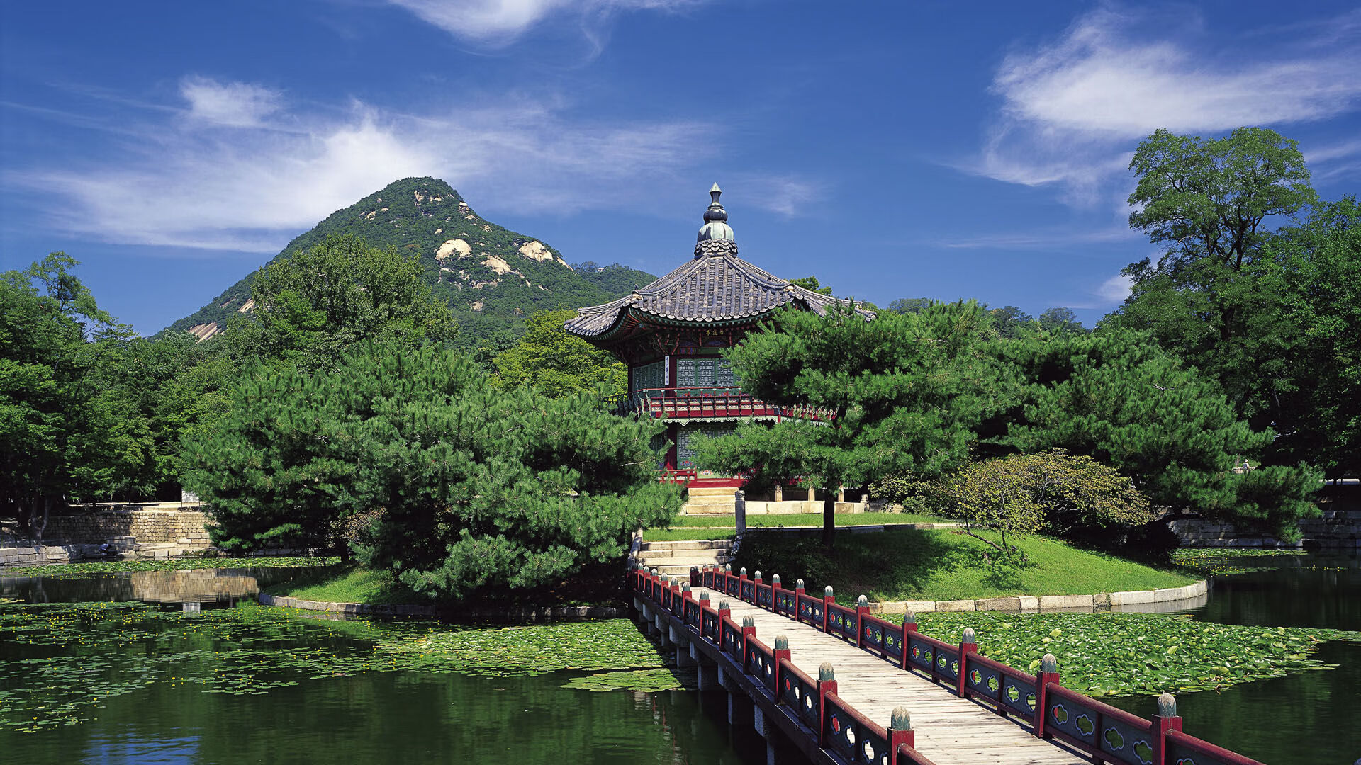 CBA球员健康状况成为管理重心之一,cba球员伤病状态