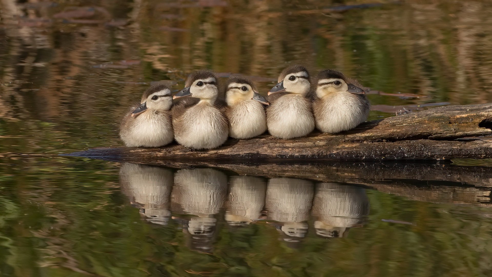 “高新体育中心:全球顶级选手齐聚,竞技与激情并存”