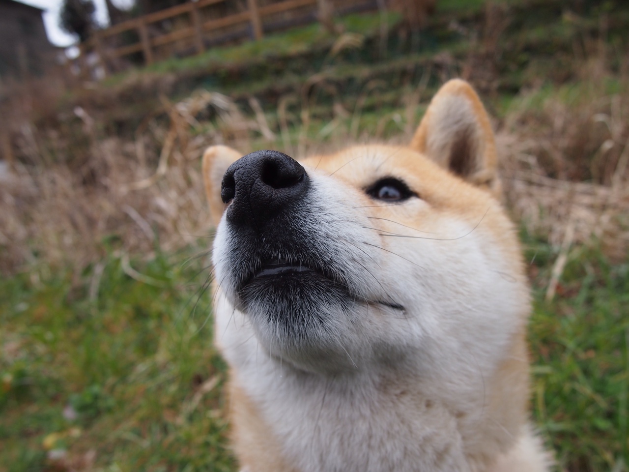 世界杯预选赛中国青年队爆冷 球迷呼吁调整战术，世界杯预选赛中国队怎么样了