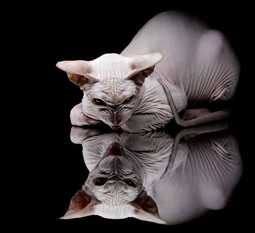 亚洲杯国家队晋级 球员默契配合提升，亚洲杯预选赛国家队名单