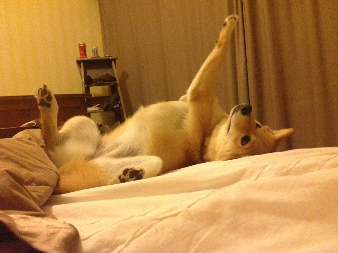 利物浦压制力持续上升打出完整体系,利物浦太强了