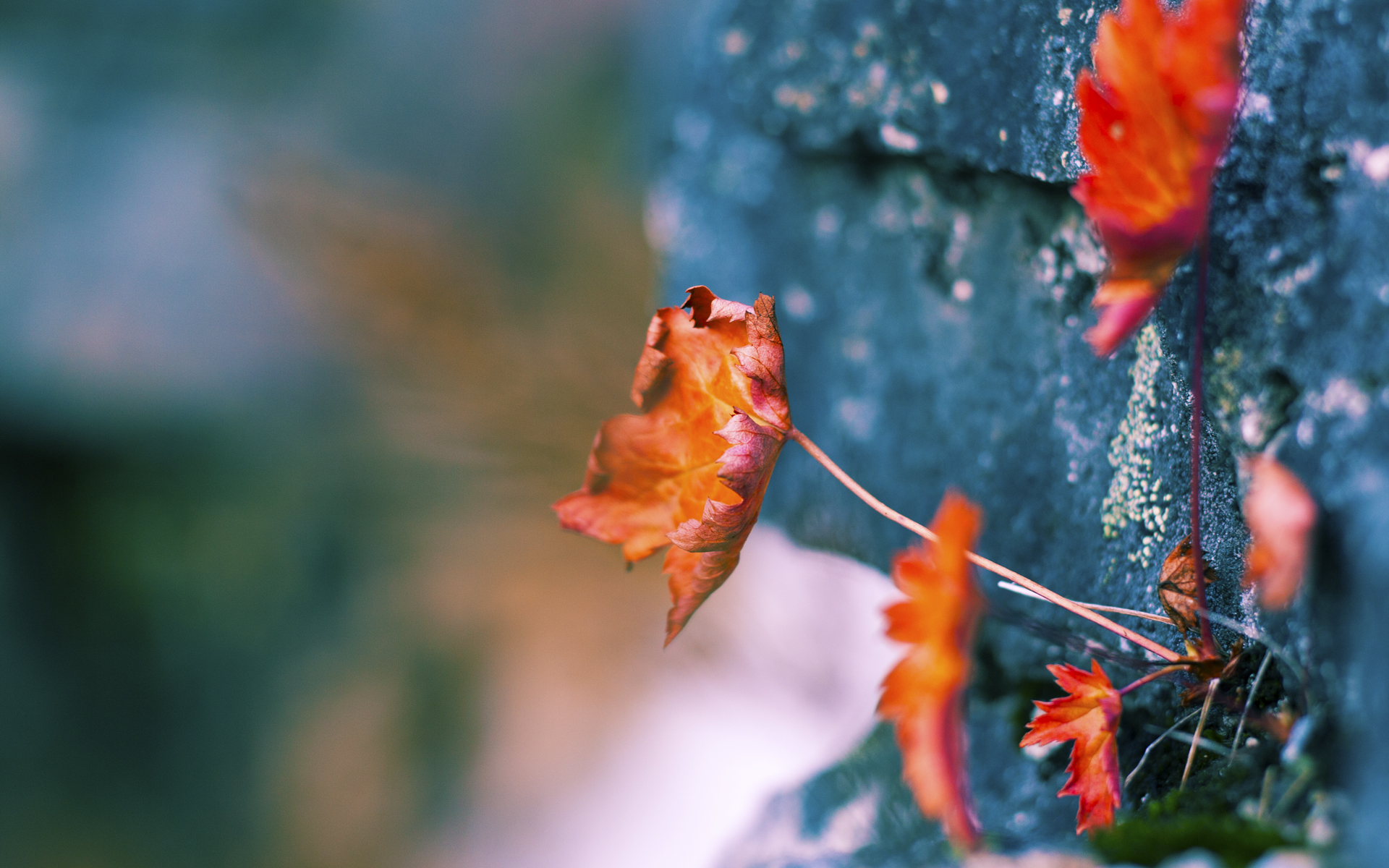 FB体育注册网址-国家队比赛期间心理干预团队未常态化